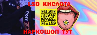 спайс Гай