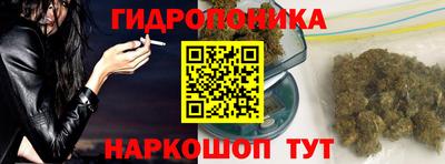 спайс Гай